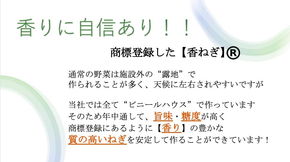【お徳用】国産 伊万里香ねぎ塩玉 500g ネギ 調味料 調味塩 エアードライ 常温 おいしい 農家 工場 安全 効能 栄養 カロリー 賞味期限 日持ち 簡単 レシピ たこ焼き インスタント スープ チャーハン 薬味 うどん 豆腐 献立 食品ロス SDGs HACCP 送料無料