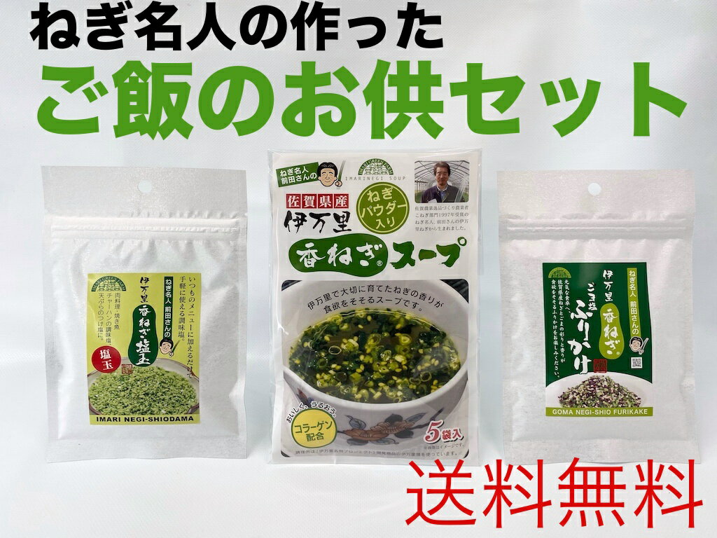 国産 ご飯のお供セット 伊万里香ねぎ ねぎ塩玉35g ねぎス