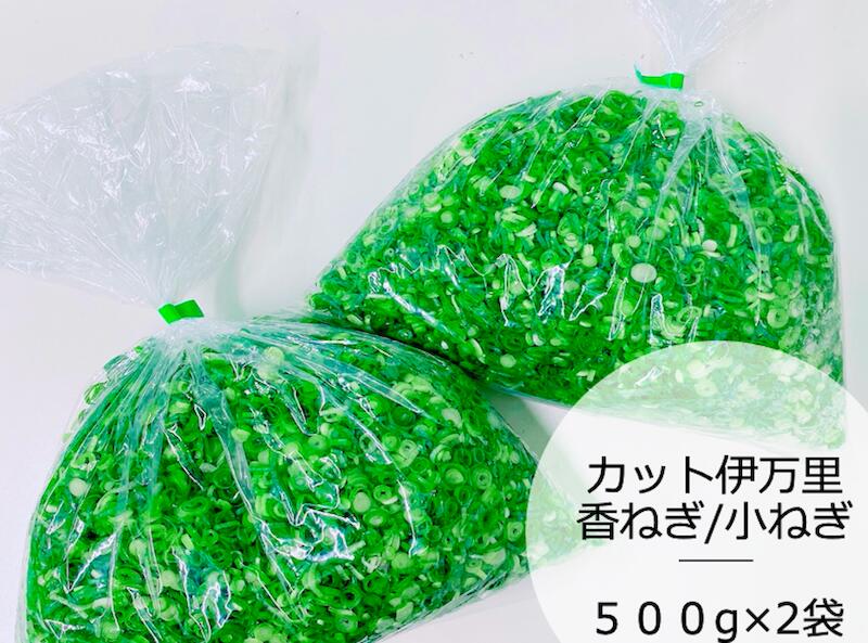 産地直送【大人数用】国産 佐賀県産 カットネギ 1kg 1000g 伊万里香ねぎ 小ネギ きざみネギ 刻み ネギ カット野菜 レシピ 長持ち 日持ち 業務用 料亭用 旅館用 法人用 お徳用 学祭 大人数 冷蔵 冷凍 保存 栄養 簡単 薬味 500g 時短 フードロス 食品ロス