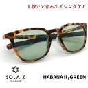 ソライズ サングラス SLD-005 HABANA2/GREEN SOLAIZ レディース UVカット ブルーライトカット 近赤外線カット アイケア スキンケア エイジングケア ウエリントン LS1
