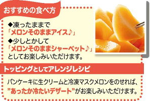 【冷凍品同梱不可】【代引き不可】GreenDreamFarmマスクメロン赤肉150gケース販売(20袋セット)★送料無料
