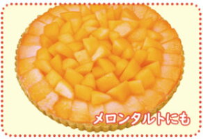 【冷凍品同梱不可】【代引き不可】GreenDreamFarmマスクメロン赤肉150gケース販売(20袋セット)★送料無料
