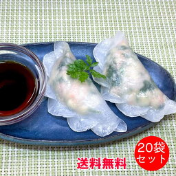 【 送料無料 】 海老とパクチーの蒸し餃子 ( 25g×20粒 ) × 20袋 セット えび 餃子 パクチー ギョウザ ぎょうざ おかず ギフト おすすめ アジア プレゼント 贈り物 お返し まとめ買い やみつき グルメ アジアン 本格 美味しい 冷凍 食品 家族 BAMBOO