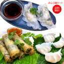 【 送料無料 】【 のし対応 】 ベトナム 3種 セット 餃子 春巻き 海老 ワタリガニ 蒸し パクチー 揚げ 冷凍 お中元 プレゼント 贈り物 ギフト 美味し...