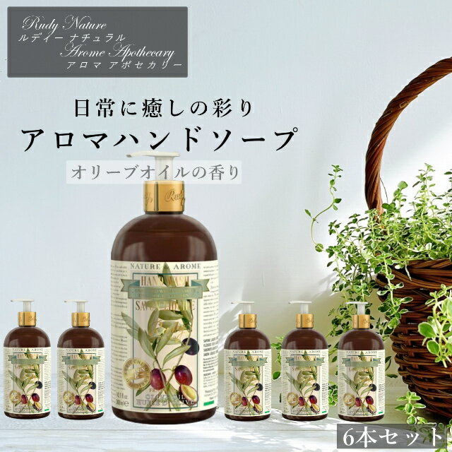 \月間優良ショップ受賞店/ ルディ RUDY Nature&Arome Apothecary ネイチャーアロマ アポセカリー 6本セット Hand Wash ハンドウォッシュ ハンドソープ オリーブオイル オリーブ アロマ フレグランス 手洗い インテリア プレゼント ギフト 贈り物 ギフトラッピング対象品