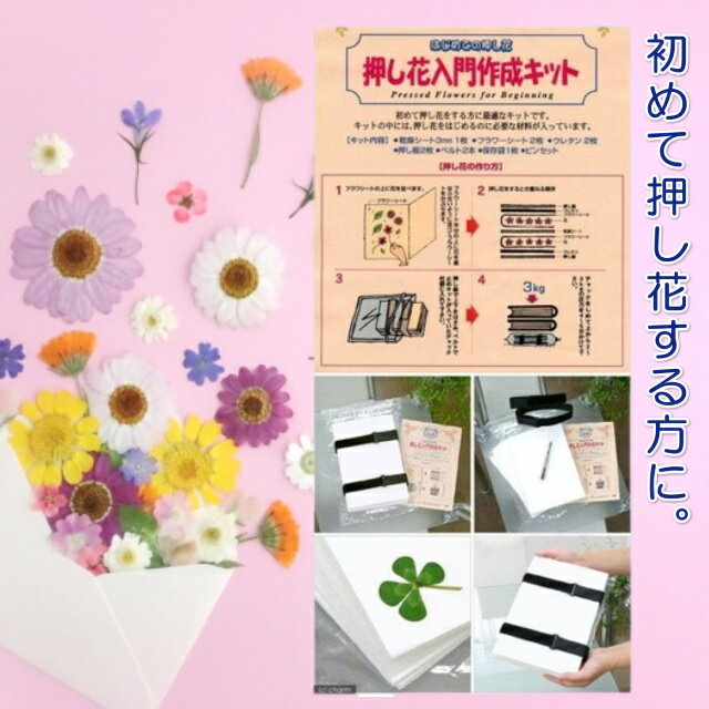 押し花 ミニバラ 茎 ビオラ ドライフラワー レジン 封入 ネイル 12枚入り pf33 GreenRoseYumi