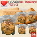堅パン くろがね くろがね堅パン 堅パンB 訳あり 320g お得 非常食 保存食 歯固め プレーン 軽食 お菓子 ハイキング ビスケット 乾パン 食品 5袋セ...