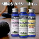 【全国 送料無料】イナーメ スポーツアロマ リカバリー 30ml 3本セット マッサージオイル 筋膜リリース リカバリーオイル Recovery ホホバオイル ナチュラル100 アロマオイル イナーメオイル スポーツ ラベンダー 筋肉痛 無添加