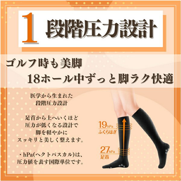 スリムウォーク ゴルフ 美脚ハイソックス 【メール便配送】