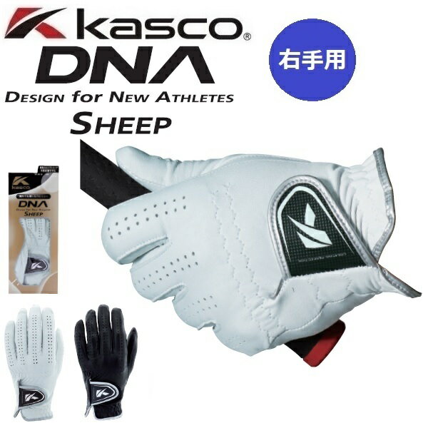 右手用 キャスコ ゴルフグローブ DNA SHEEP シープ メンズ レフティ 羊革 手袋 GF-2012R 