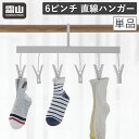【全品20%OFFクーポン 期間限定】6ピンチ 小物干し 直線ハンガー 単品 ハンガー 物干し 洗濯用品 物干しハンガー 室内物干し 部屋干し 洗濯 ランドリー...