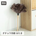 【全品+10倍 本日限定】ダチョウ羽根はたき 羽根はたき 羽はたき 羽根 羽 はたき 掃除道具 掃除 部屋掃除 ほこり ほこり取り フェザーダスター 静電気防止...