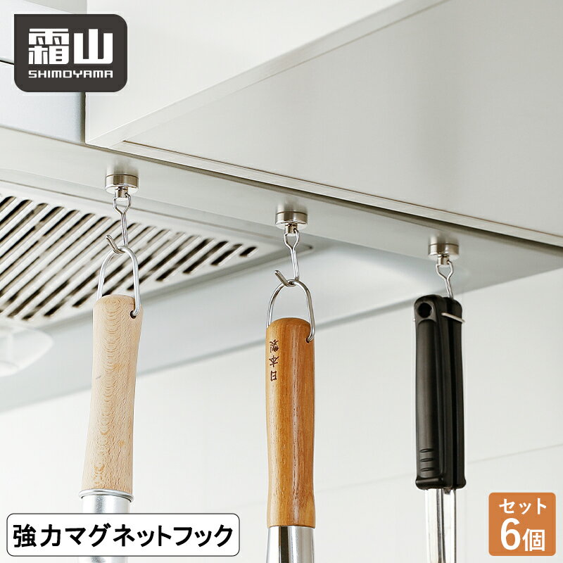 【特典付】6個セット マグネットフック Lサイズ フック 強力 ネオジム 磁石 強力フック 収納 便利グッズ マグネット 磁着 壁掛け 鍵置き タオル 金属 吊...