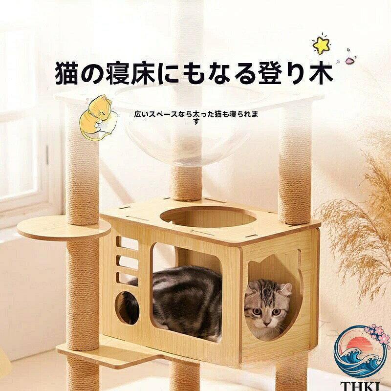 イグノライツの木製キャットタワー キャットタワー 猫タワー ミニキャットタワー 宇宙船 子猫 大型猫 多頭飼い キャットタワー据え置き 省スペース ペット用品 猫グッズ 人気 安全 高耐久 安定感 おし｜アングル2