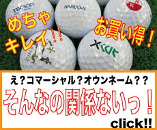 【訳あり】タイトリストプロ V1x’19モデル　コマーシャル・オウンネームボール2ダース【中古】ロストボール　ゴルフボール