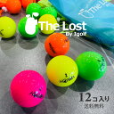 【今だけ+3球】 ロストボール HONMA GOLF 本間ゴルフ ホンマ D1 年代混合 ★★ランク ~ ★★★ランク混合 1ダース(12球入り) 【ポーチ付き】ゴルフボール 中古 ゴルフ 送料無料
