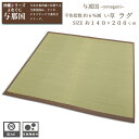 【お買い物マラソン期間限定クーポン】 い草 カーペット い草ラグ センターラグ 約 140×200cm い草 与那国 裏付きラグ グリーン約 2畳 夏の快適い草...