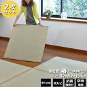 【お買い物マラソン期間限定クーポン】 畳 マット ユニット畳 置き畳 椿 つばき 約82×82×1.4cm 2枚セット 約3.3kg 畳 半畳 フロアー畳 防音...