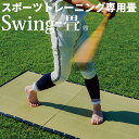 【5/30限定10%OFFクーポン】 Swing-畳 トレーニングマット 野球 テニス ゴルフ スイング Homerun-畳 Smash-畳 300yard-畳