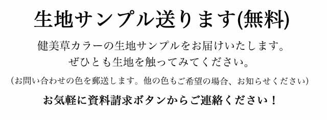 カラーい草上敷き「健美草」ブラック滑らない裏貼り付　261×261cm(江戸間4.5畳）【送料無料】（関東間・田舎間・五八間）【10P03Dec16】