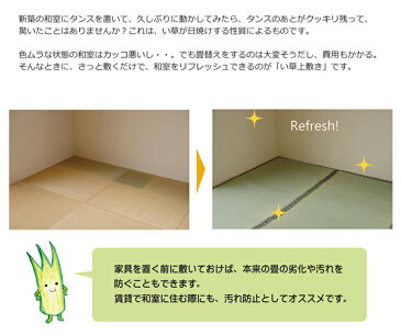 国産 い草 上敷き カーペット「 松 」サイズ：本間8畳(約382×382cm)(#1113388)上敷 上敷き カーペット 畳上敷き 畳 い草 イ草 いぐさ ござ い草 ラグ 和