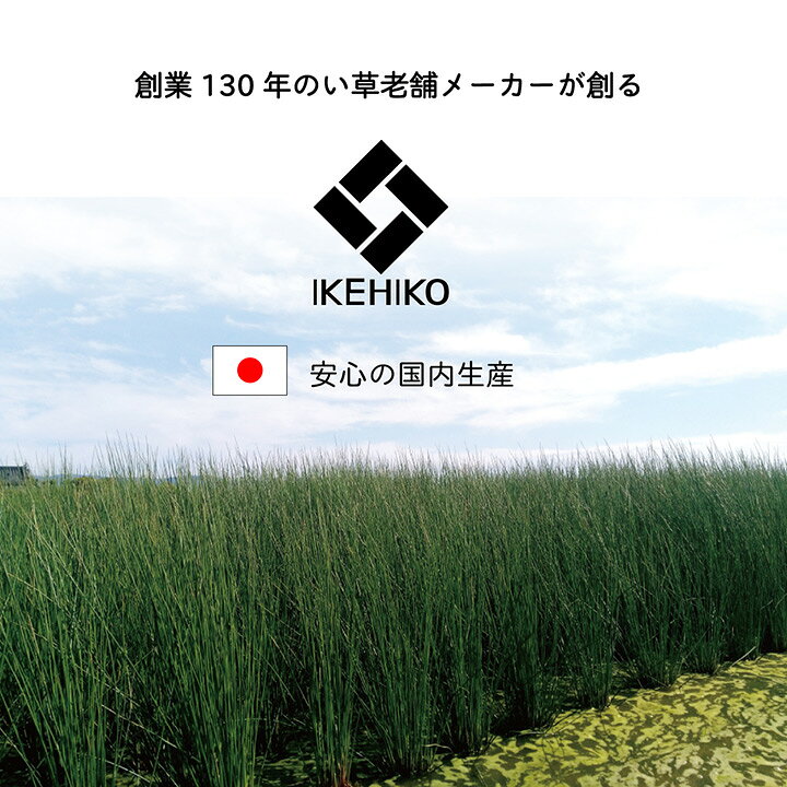 国産い草使用 い草マット ベビーサイズ「 ことり 」約70×120cm 国産 日本製 お昼寝...