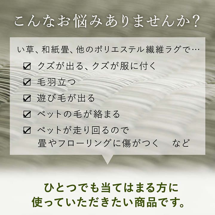 【期間限定価格】ラグ 洗える ござ 6畳 撥水 カーペット 防ダニ 「 カノン 」 本間6畳 約286.5×382cm 上敷 畳 カバー ペット ダイニングラグ 防カビ 除菌スプレー対応 汚れにくい 和風 ポリプロピレン レジャーシート マット