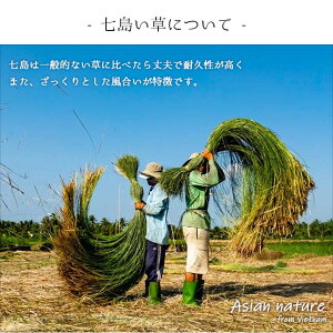 父の日 実用的 父の日ギフト 母の日 プレゼント 七島い草 草履 雪駄 サンダル「 ルーチェ 草履 」 Mサイズ Lサイズ い草 ござ 畳 さらさら ペアギフト 夫婦 消臭 レディース メンズ 敬老の日 誕生日 ギフト おすすめ