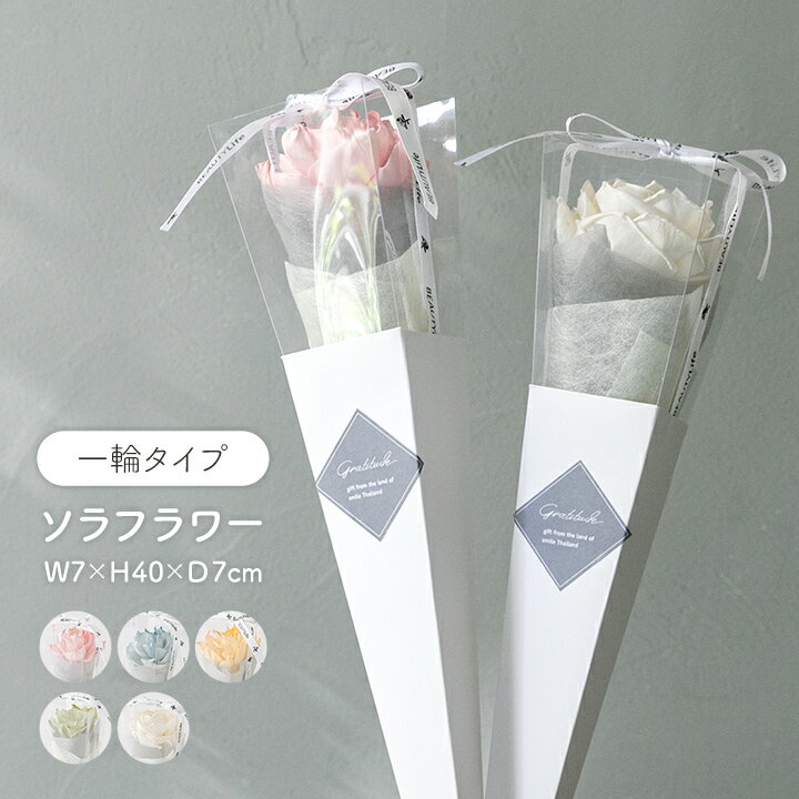 【冬支度応援★クーポン配布中】 フラワー ギフト 花 「 ソラフラワー シングルステム 一輪タイプ 」 母の日 サンクスギフト プレゼント 贈り物 誕生日 記念...