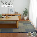 【10%offクーポン★先着100名5/25 20:00-23:59】 掘りごたつ用 カーペット ござ 191×300cm くりぬき:90×150cm 「 DX...