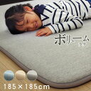 ラグ 厚手 カーペット 極厚 30mm ボリュームタイプ「 SARARI 」約185×185cm へたりにくい 防音 ラグマット こたつ 敷布団 滑り止め 春 夏 秋 冬 オールシーズン 床暖房 ホットカーペット対応 2畳 正方形 イケヒコ