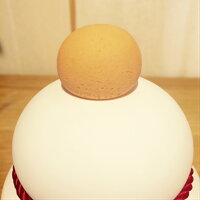 soil(ソイル・珪藻土)】KAGAMIMOCHIカガミモチS鏡餅