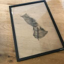 Floating Leaves (フローティングリーブス)04/A4 Paper Collective