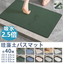 翌日配送【全品20%OFFクーポン 15日限定】バスマット速乾 洗える 珪藻土 バスマット ソフト 珪藻土マット 柔らか 速乾 割れない ノンアスベスト アスベ...