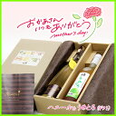 奥の松 ハニール&うめとろ 2本入りギフトセット 500ml 2本入 ミード 蜂蜜酒 はちみつ ハチミツ 低アルコール 福島 ギフト 贈り物 プレゼント 母の日...