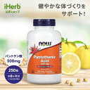 NOW NOW Foods パントテン酸