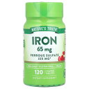 Nature's Truth 鉄 【 iHerb アイハーブ 公式 】 ネイチャーズトゥルース 鉄分 ミネラル サプリメント サプリ タブレット 65mg 12...