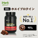 ゴールドスタンダード 100 ホエイ プロテイン 【 iHerb アイハーブ 公式 】 オプティマムニュートリション Optimum Nutrition Gold Standard ホエイタンパク質 パウダー ダブルリッチチョコレート 907g