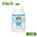 Source Naturals ホーリーバジルエキス 【 iHerb アイハーブ 公式 】 ソースナチュラルズ ホーリーバジル サプリ サプリメント カプセル ...