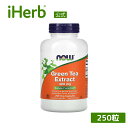 NOW Foods 緑茶エキス 【 iHerb アイハーブ 公式 】 ナウフーズ 緑茶 カテキン ポリフェノール ビタミンC サプリメント サプリ 植物由来 植...