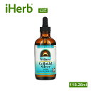 Source Naturals ウェルネス コロイドシルバー 【 iHerb アイハーブ 公式 】 ソースナチュラルズ シルバー 銀 サプリ サプリメント リキ...