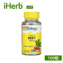Solaray 発酵 ビート 【 iHerb アイハーブ 公式 】 ソラレー オーガニック 有機 ビートルート ビーツ 根 サプリメント サプリ ベジカプセル 500mg 100粒