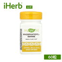Nature's Way ホスファチジルセリン 【 iHerb アイハーブ 公式 】 ネイチャーズウェイ セリンエイド サプリメント サプリ ソフトジェル 10...