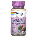 Solaray ホーソーン 【 iHerb アイハーブ 公式 】 ソラレー セイヨウサンザシ サンザシ ビテキシン-2-ラムノシド 1.8% バイタル エキス ...