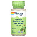 Solaray アメリカ ジンセン 【 iHerb アイハーブ 公式 】 ソラレー アメリカ アメリカン ニンジン 人参 ハーブ トゥルーハーブ サプリメント ...