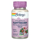 Solaray ホーソーン 【 iHerb アイハーブ 公式 】 ソラレー セイヨウサンザシ サンザシ ビテキシン-2-ラムノシド 1.8% バイタル エキス ...