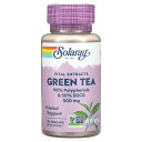 Solaray グリーンティー 【 iHerb アイハーブ 公式 】 ソラレー 緑茶 エキス ポリフェノール 8% EGCG 没食子酸 エピガロカテキン 50%...