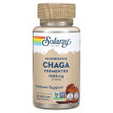 Solaray チャーガ 【 iHerb アイハーブ 公式 】 ソラレー 発酵 オーガニック 有機 カバノアナタケ マッシュルーム キノコ きのこ サプリメント...