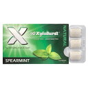 XyloBurst キシリトール ガム 【 iHerb アイハーブ 公式 】 キシロバースト キシリトールガム Xylitol チューインガム チューイングガム...