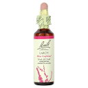 Bach ラーチ 【 iHerb アイハーブ 公式 】 バッチ オリジナル フラワーレメディ レメディ フラワーエッセンス フラワーフォーミュラ ホメオパシー ...